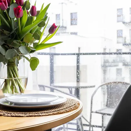 Glow - Flamenco Brzezno Gdańsk