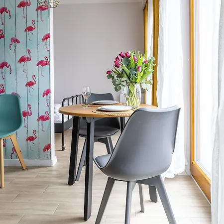 Glow - Flamenco Brzezno